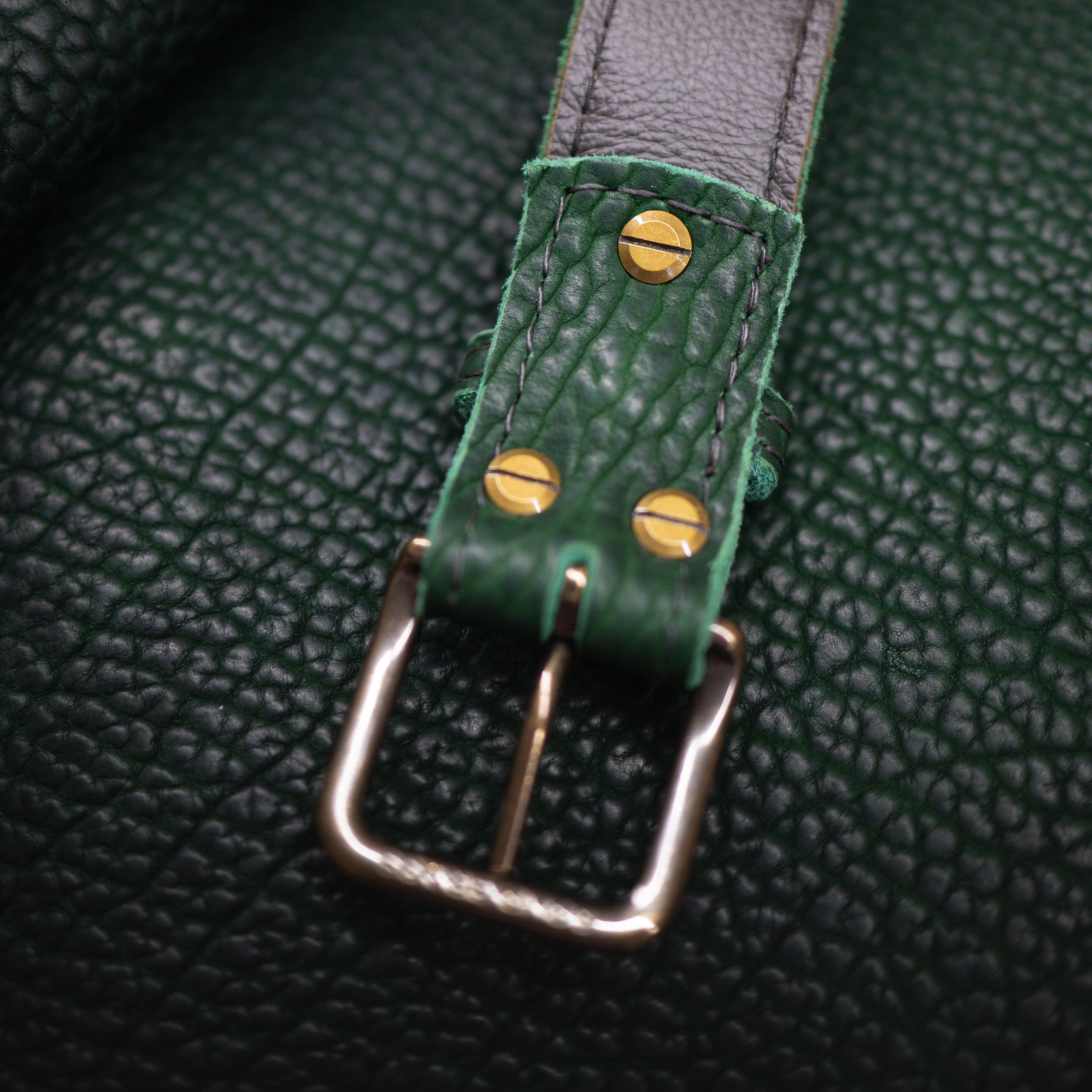 Raptor Belt - Image 5