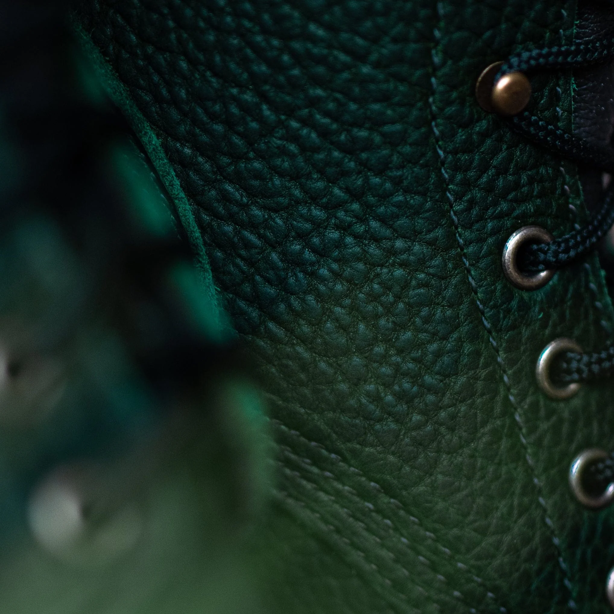 Raptor XI - Image 2