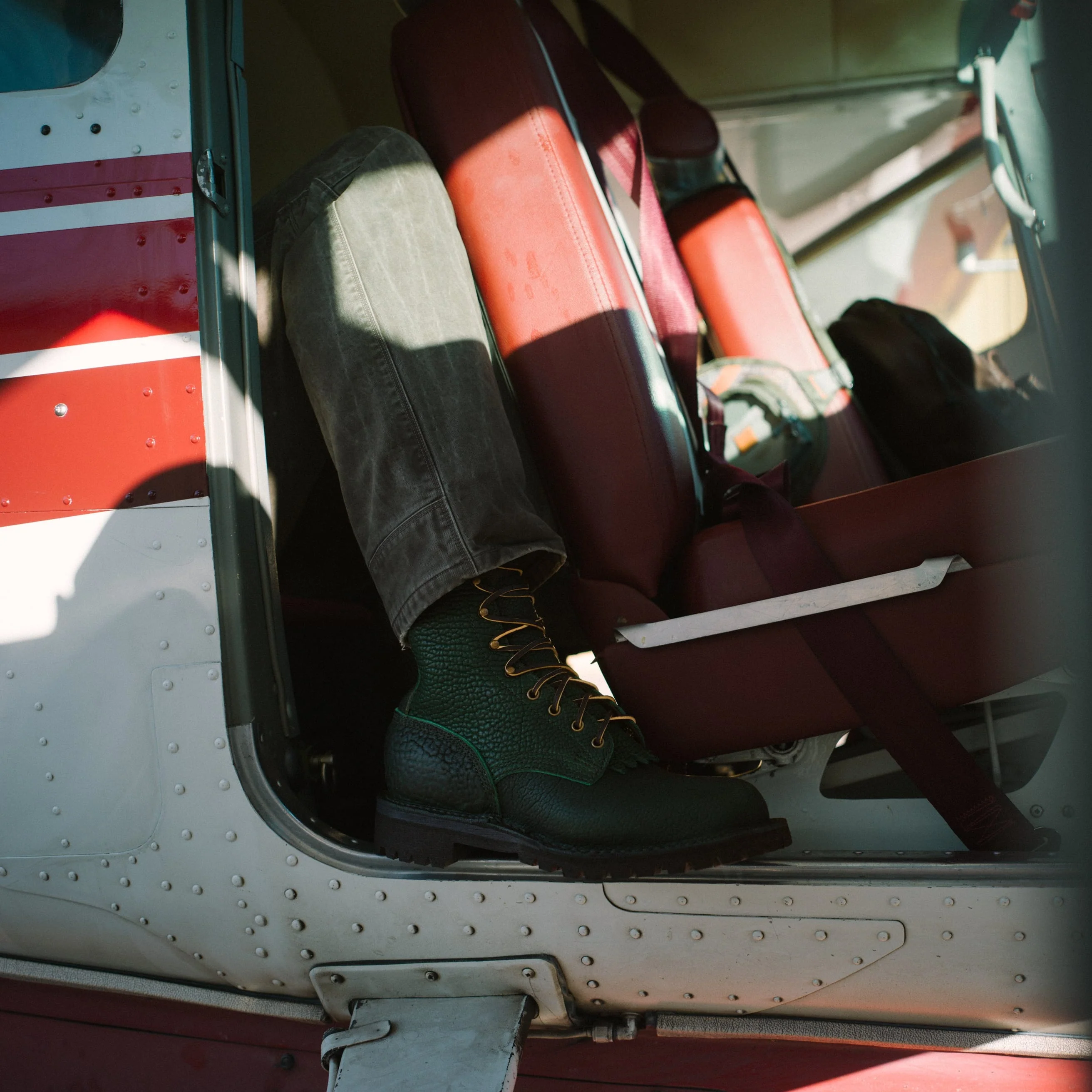 Raptor XI - Image 4