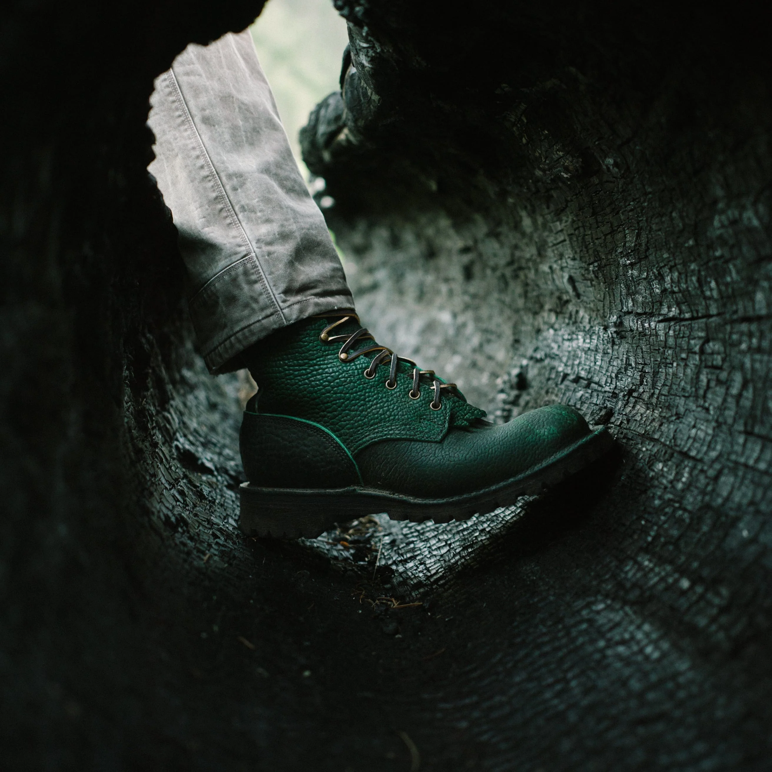 Raptor XI - Image 3