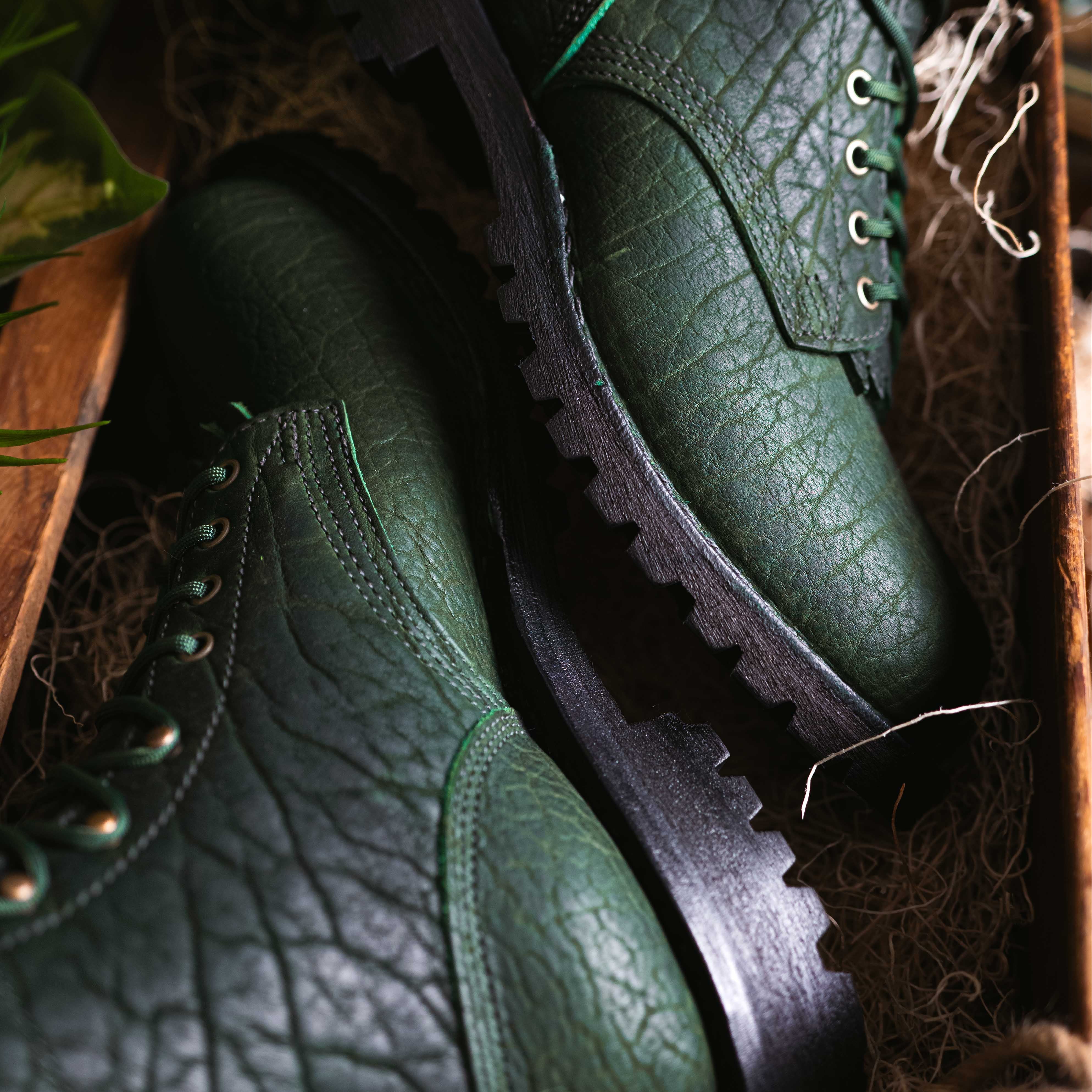 Raptor XI - Image 5