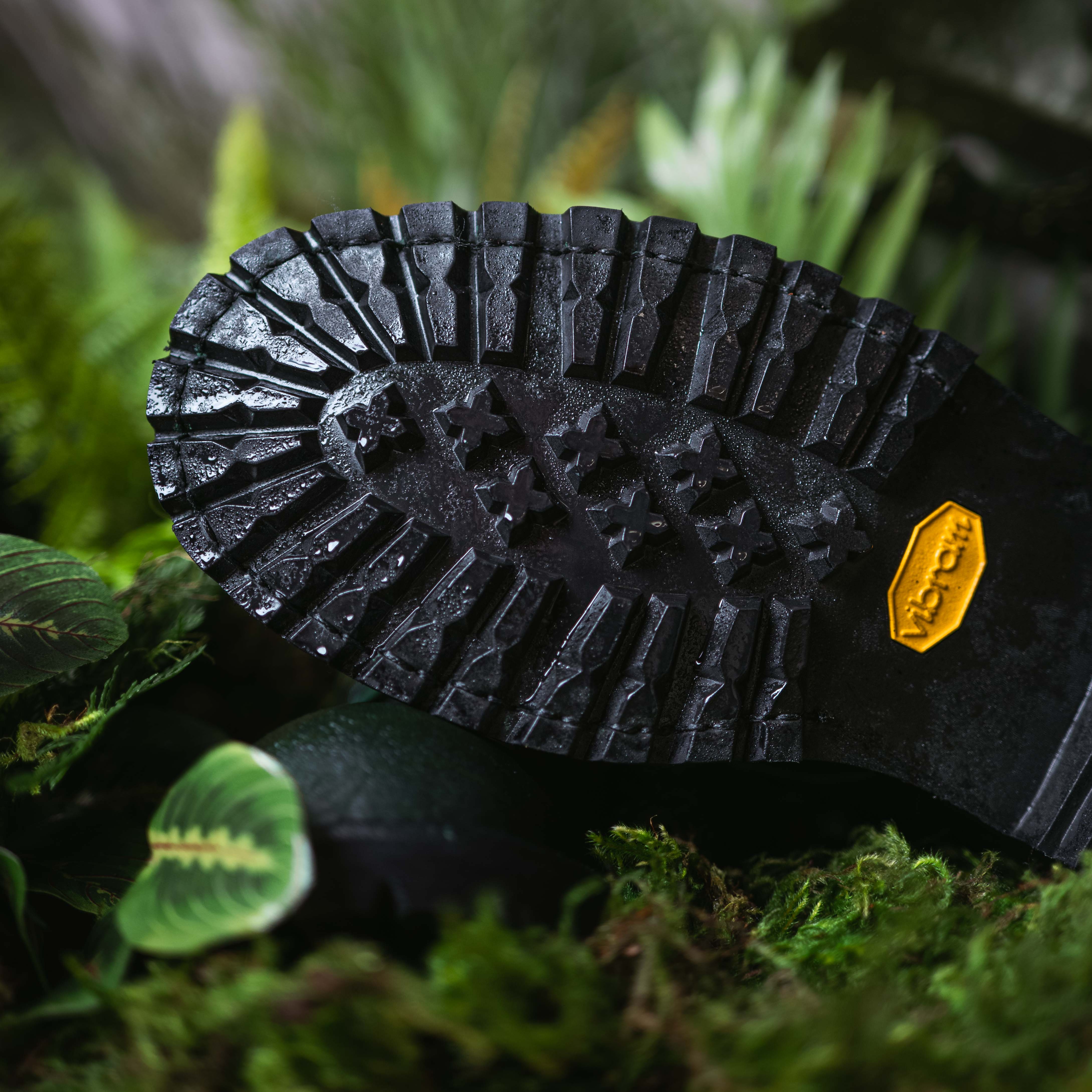 Raptor XI - Image 7
