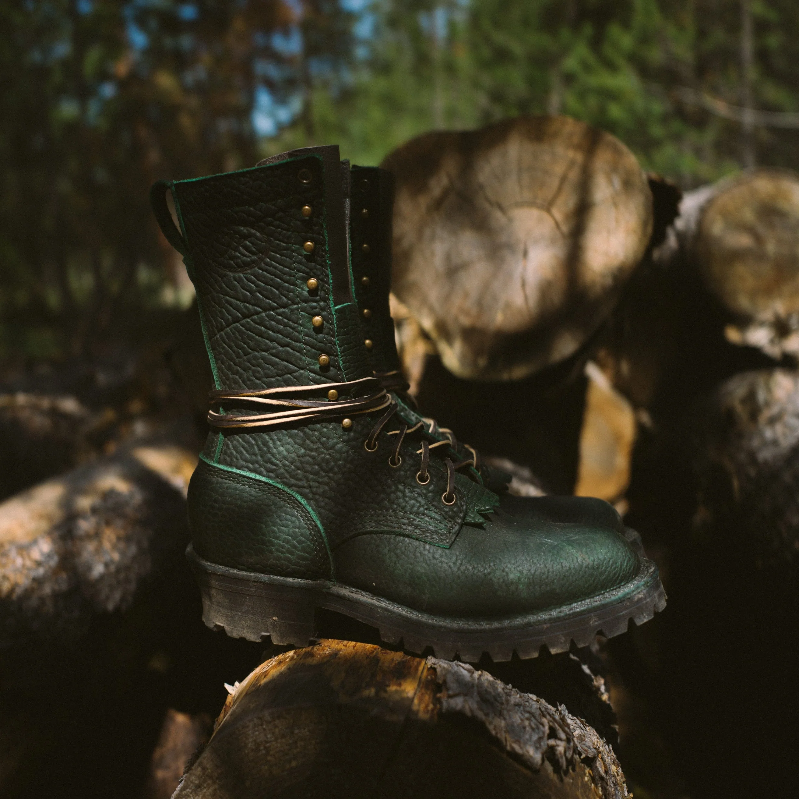 Raptor Rex (Safety Toe) - Image 3