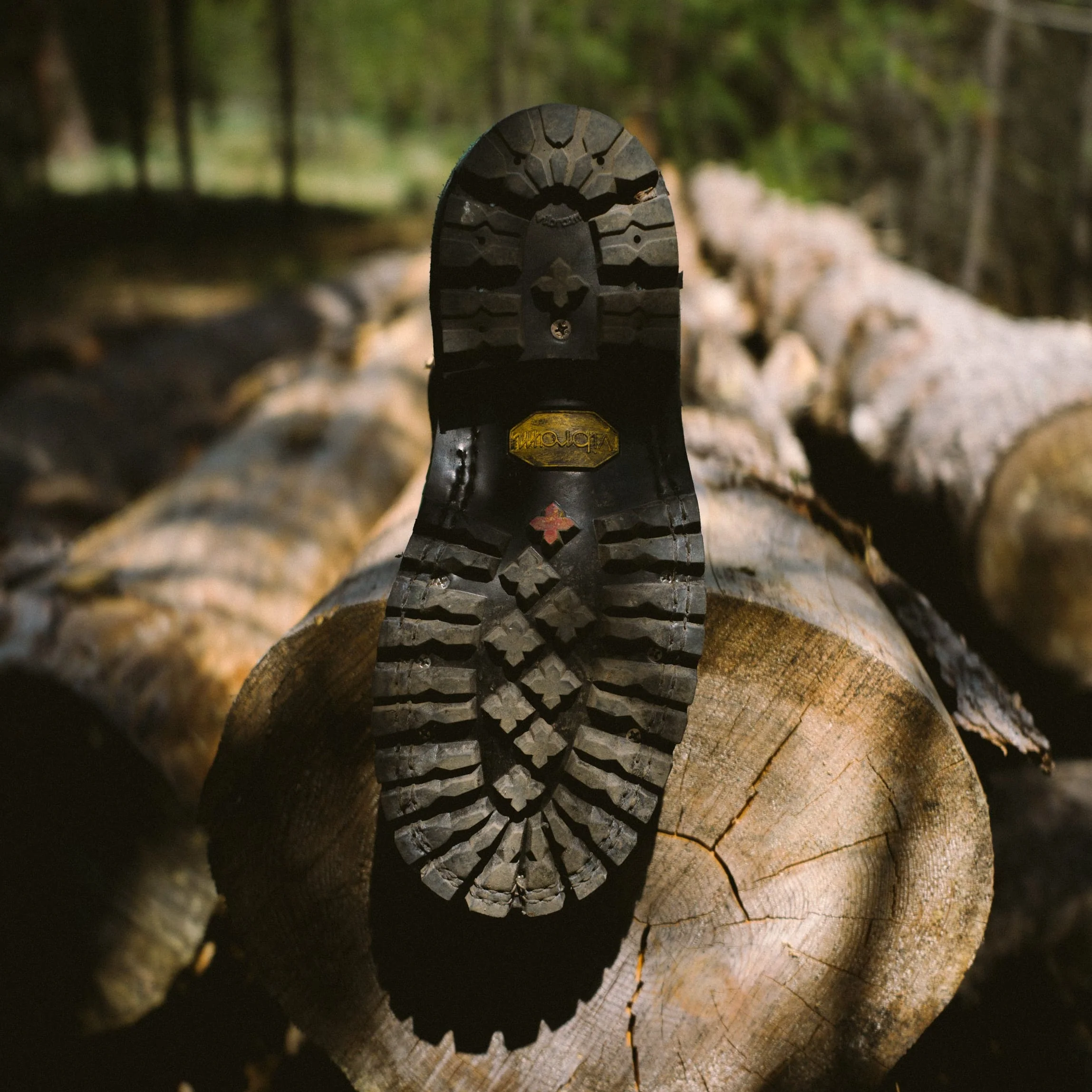 Raptor Rex (Safety Toe) - Image 5