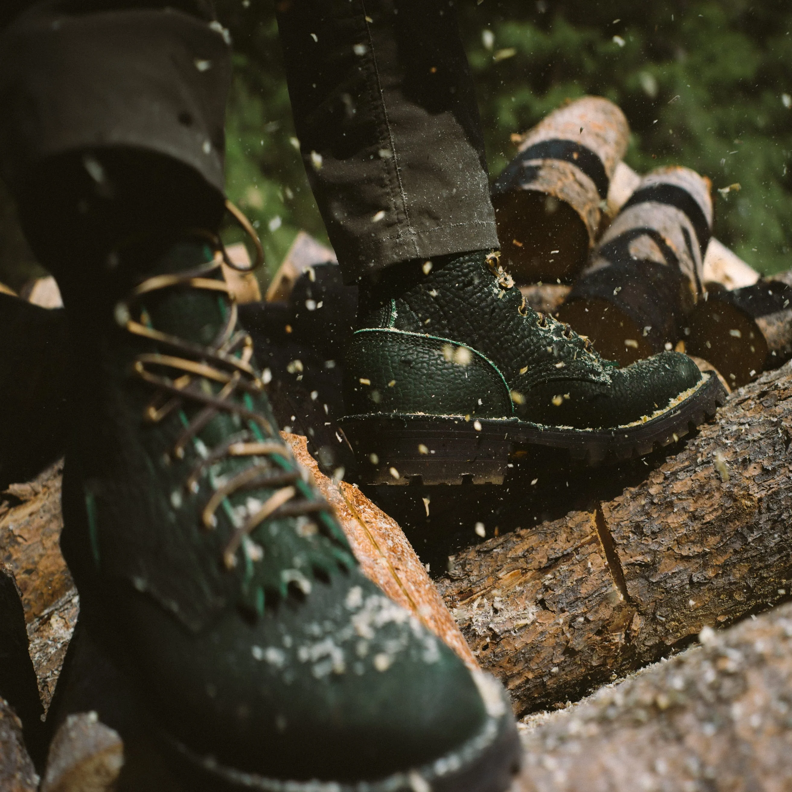 Raptor Rex (Safety Toe) - Image 7