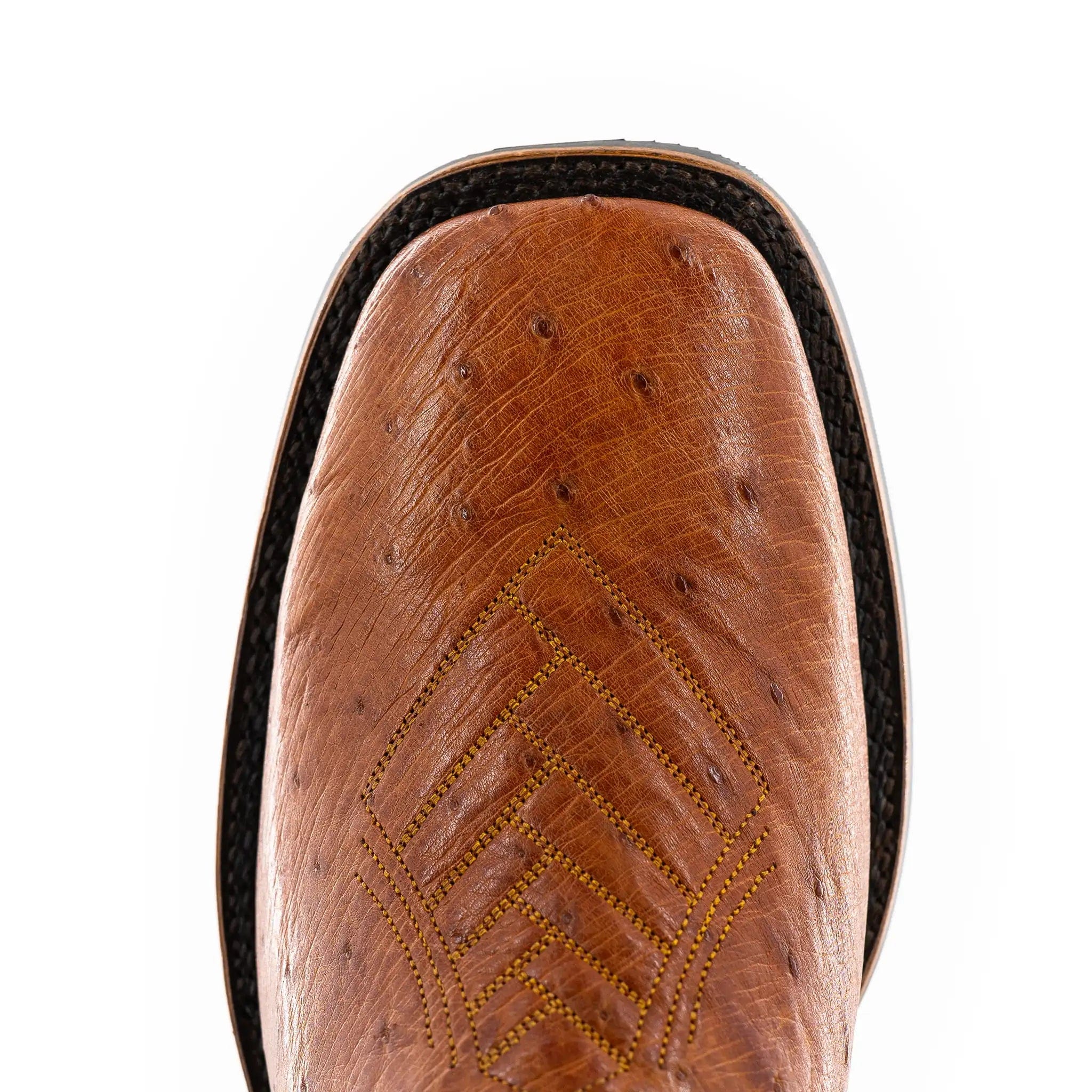The Colt - Indigo/Cognac Smooth Ostrich - Image 3