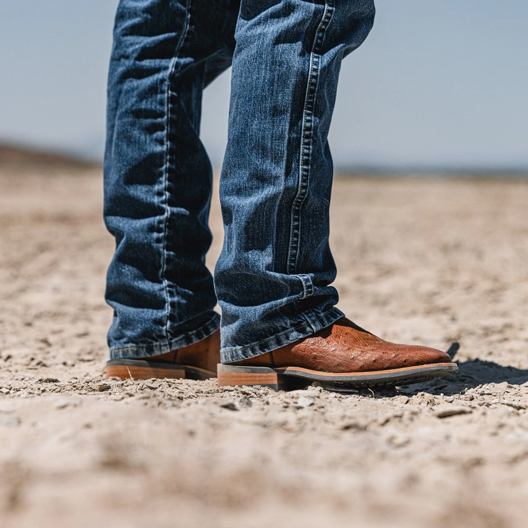 The Colt - Indigo/Cognac Smooth Ostrich - Image 8