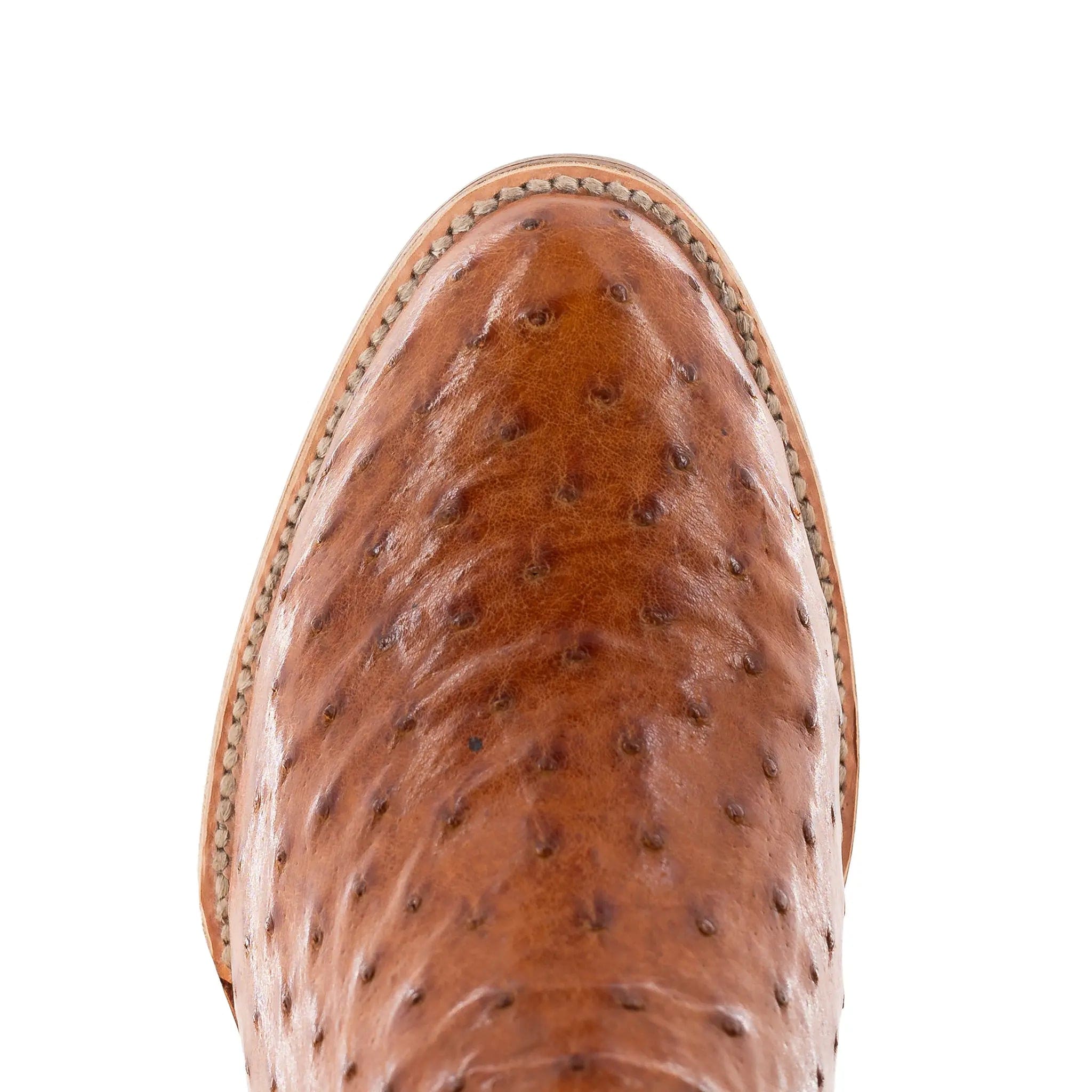The Doc - Chocolate/Cognac FQ Ostrich - Image 3